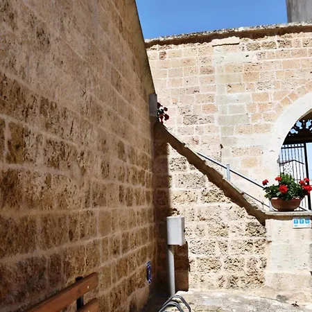Palazzo Palmieri Apartment Martignano